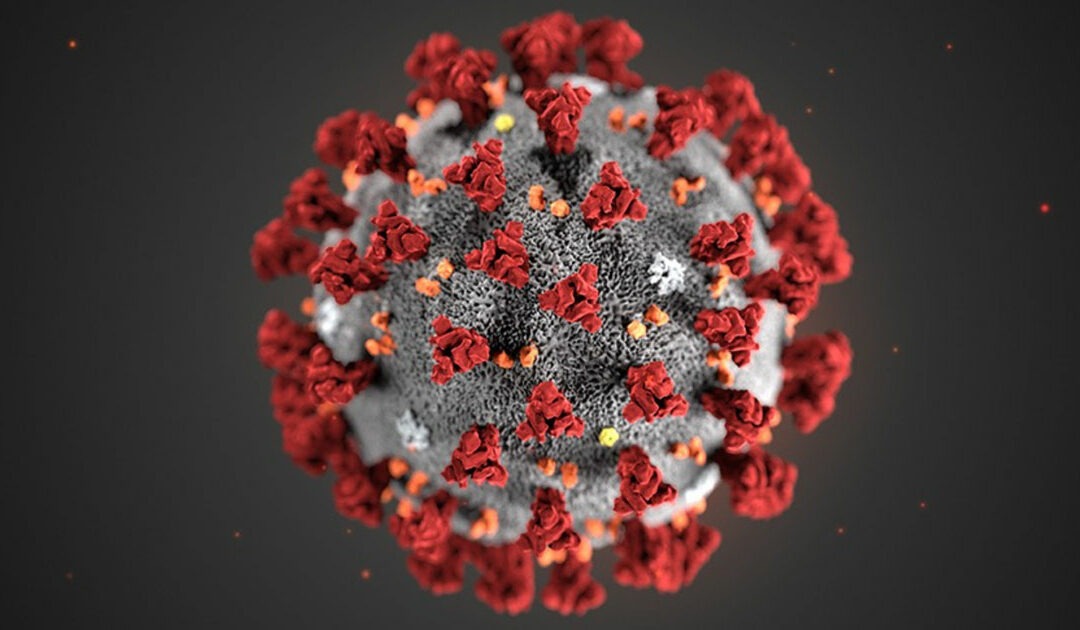Emergenza Coronavirus Modena