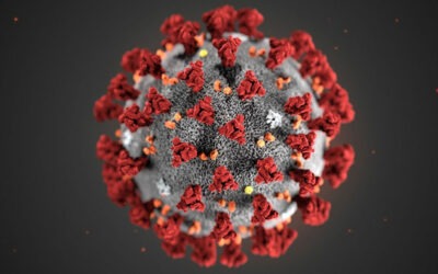 Emergenza Coronavirus Modena