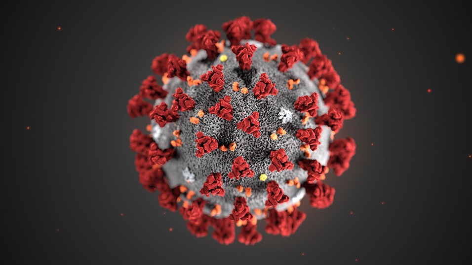 Emergenza Coronavirus Modena